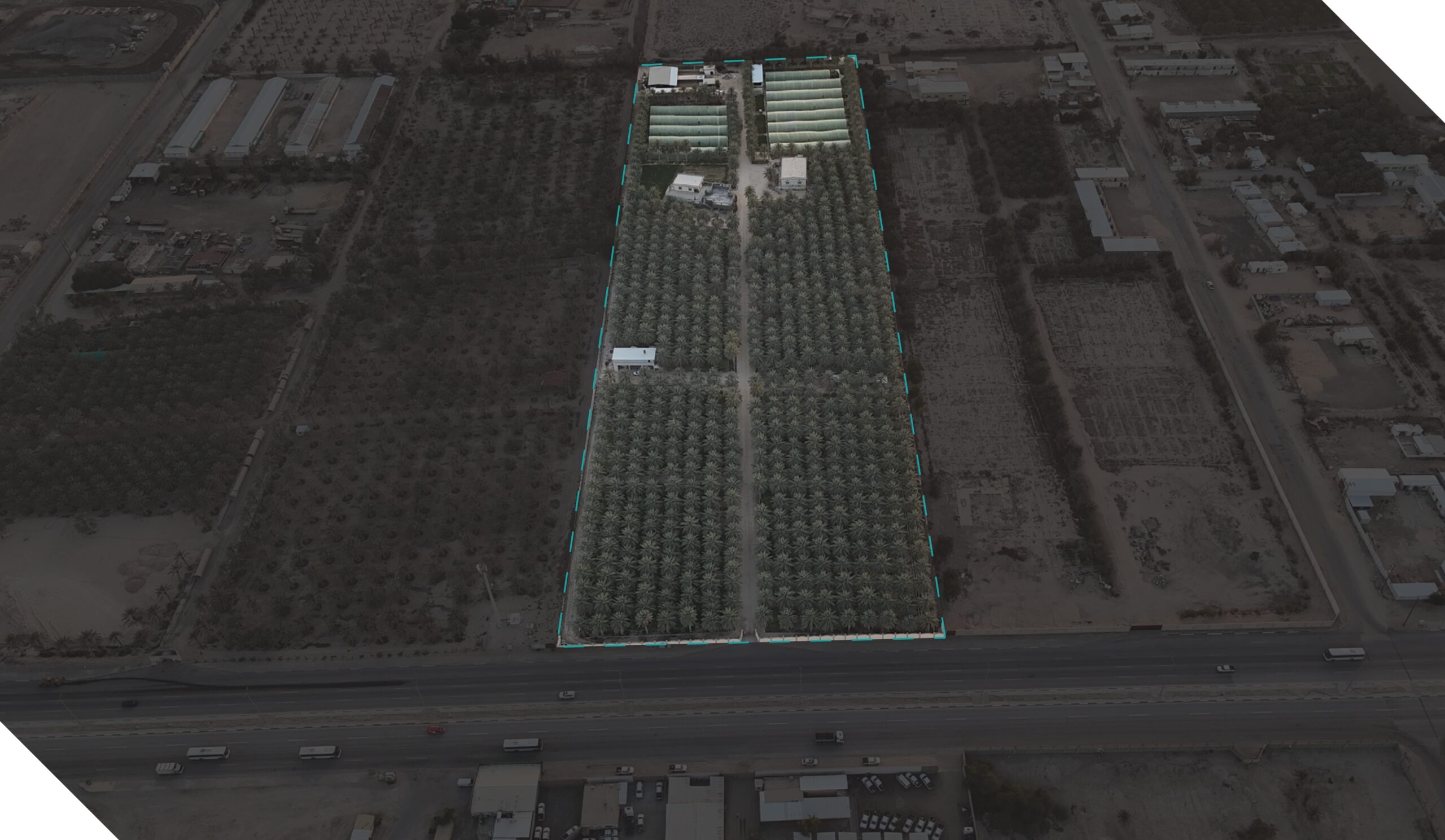 مزرعة بحي الغويبة بمدينة الهفوف بمساحة 50,000 م2